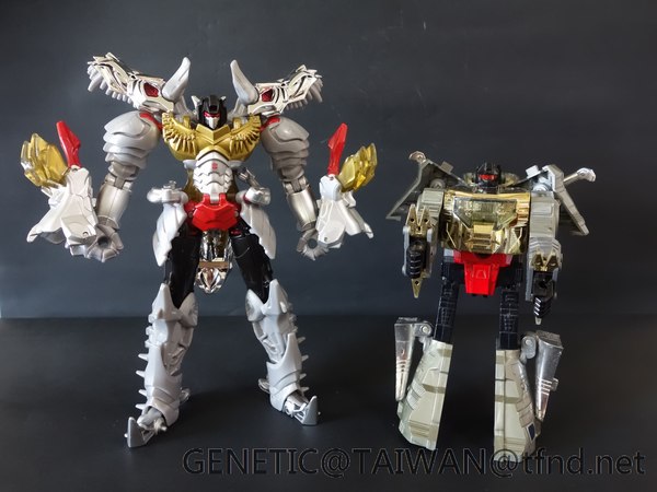 Tranformers Age Of Extinction Platinum Edition Grimlock Dinobot Pictorial Review  (17 of 27)